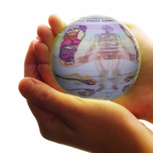 hands-holding-reflexology-world-chart.jpg Hands gently holding a globe shaped like the Reflexology Foot Chart, symbolizing global care and connection.