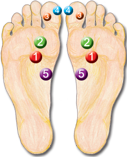5 power points in reflexology