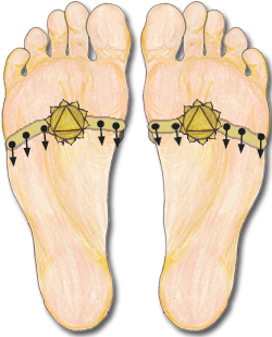 Reflexology solar plexus point or K1