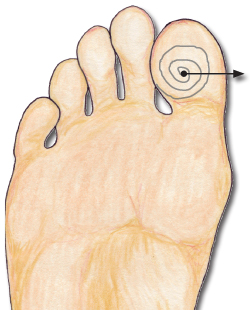 The pituitary reflexology point