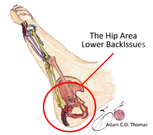 back problems in reflexology