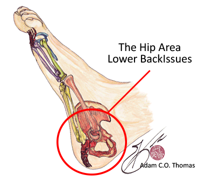 back problems in reflexology