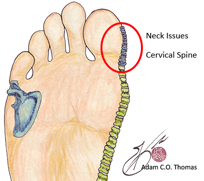 neck issues are found on the side of the foot