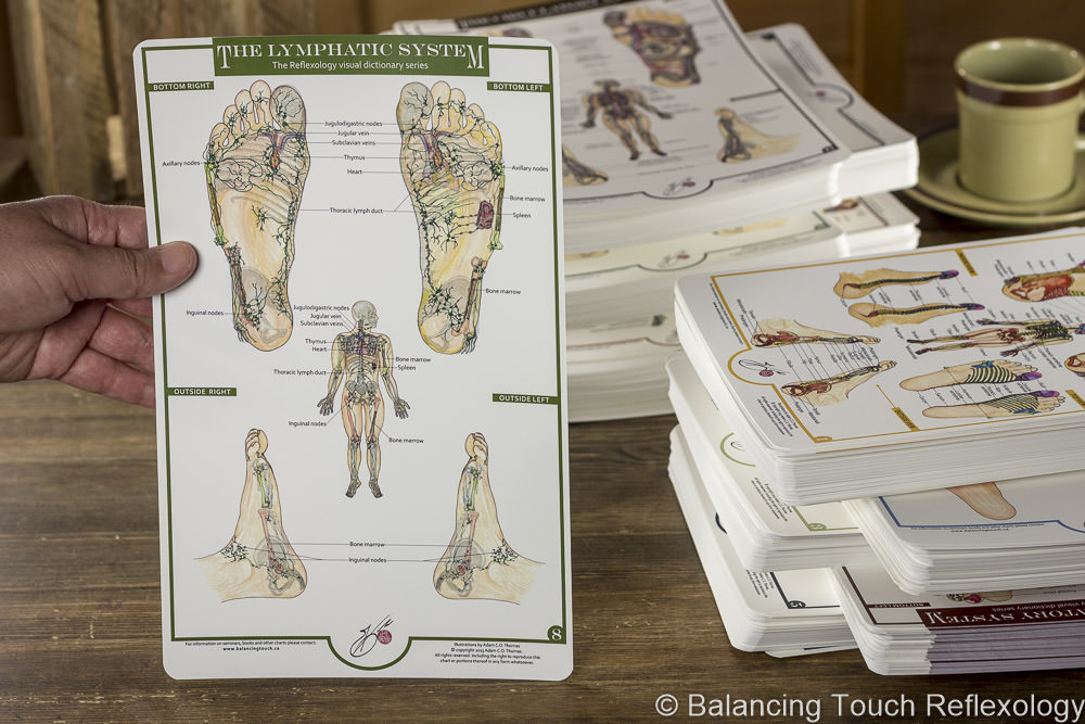 Lymphatic system reflexology foot chart