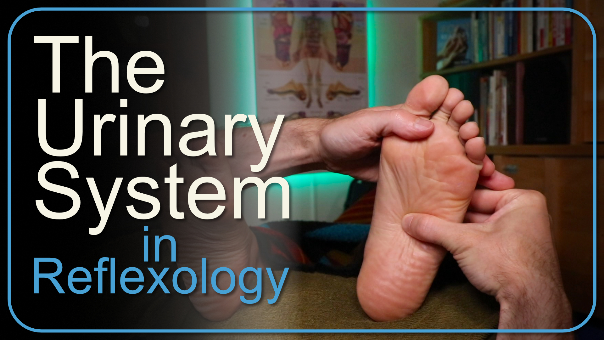 featured image for how to work the urinary system in reflexology