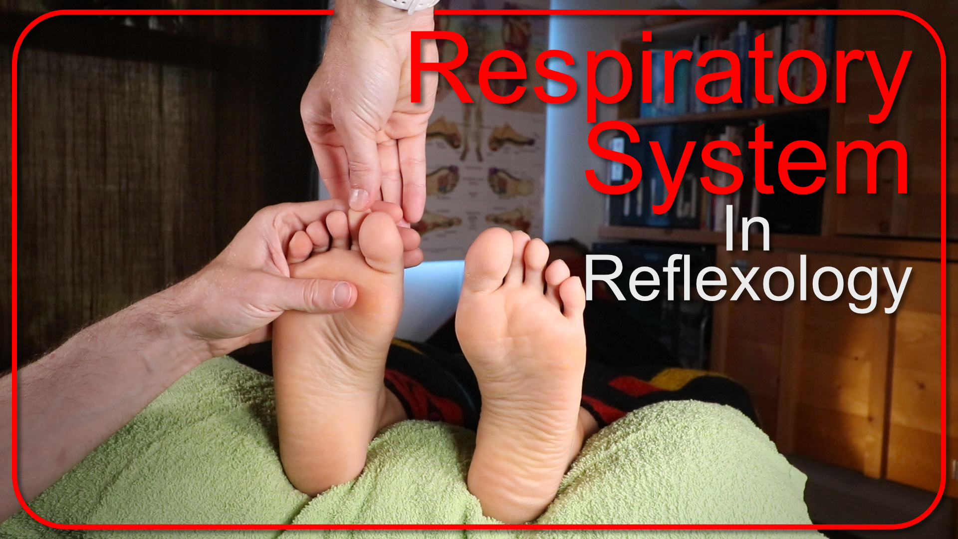 respiratory system in reflexology