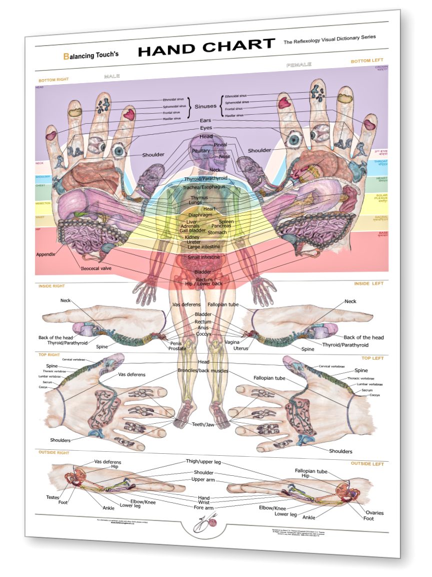 shows the hand reflexology chart