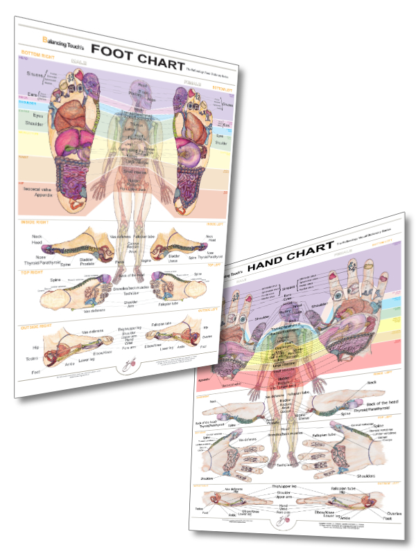 Image displaying Balancing Touch’s Foot Chart and Hand Chart side by side, showcasing both reflexology tools together.