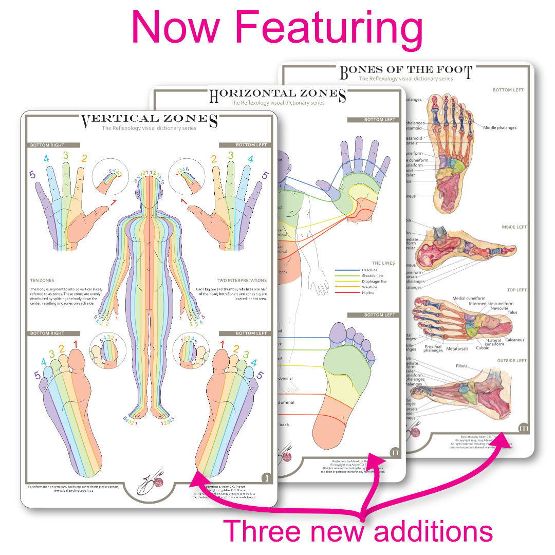 Image showing three new reflexology foot charts titled 'Now Featuring: Three New Additions' – Vertical Zones, Horizontal Zones, and Bones of the Feet.