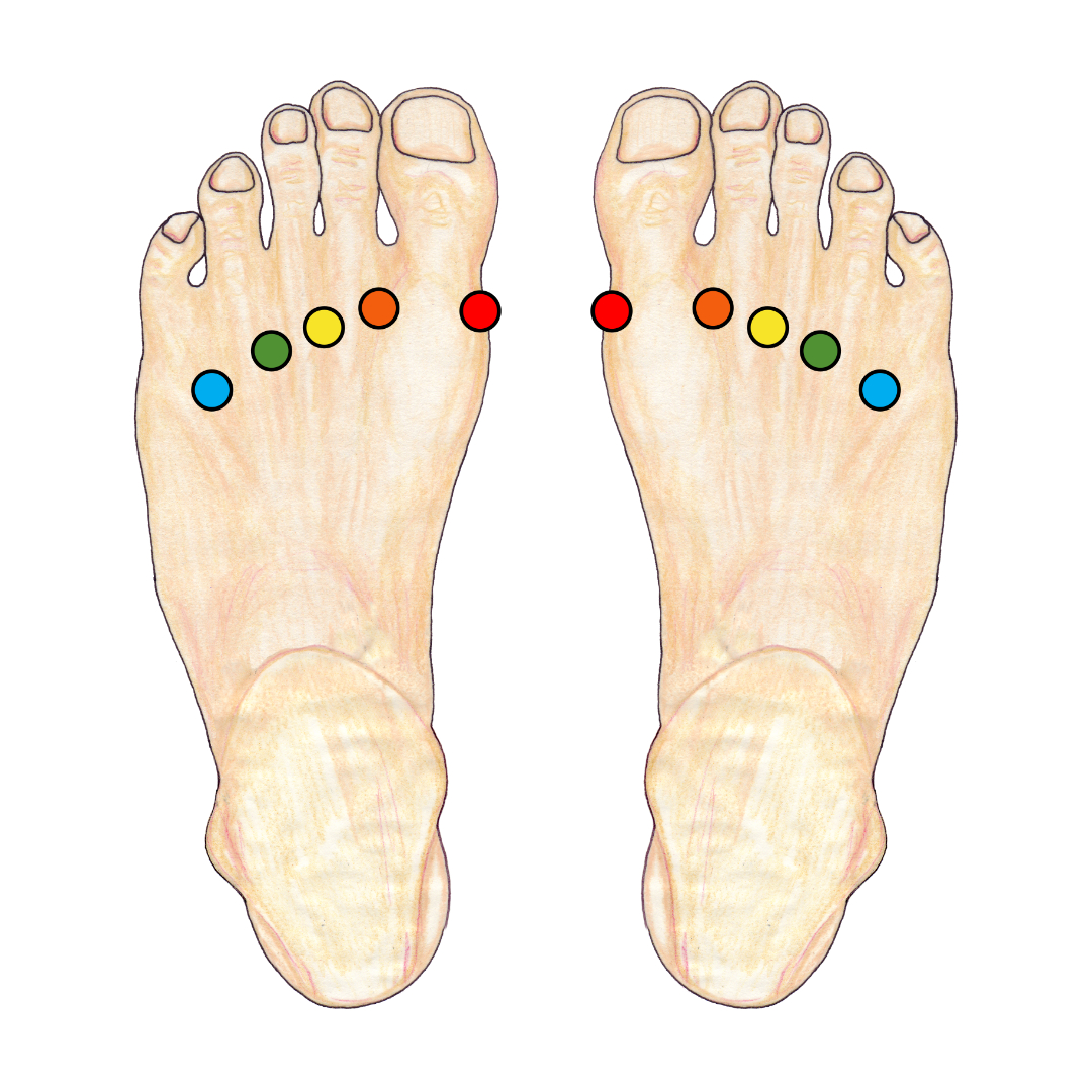 Gait Reflex Points on the Top of the Feet Illustration of reflexology gait points located between the tendons on the top of the feet