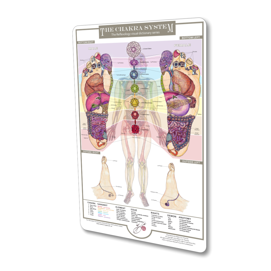 chakra-system-reflexology-chart-feet-body-balancing-touch Chakra Reflexology Chart showing energy centers on the feet and body with glands highlighted